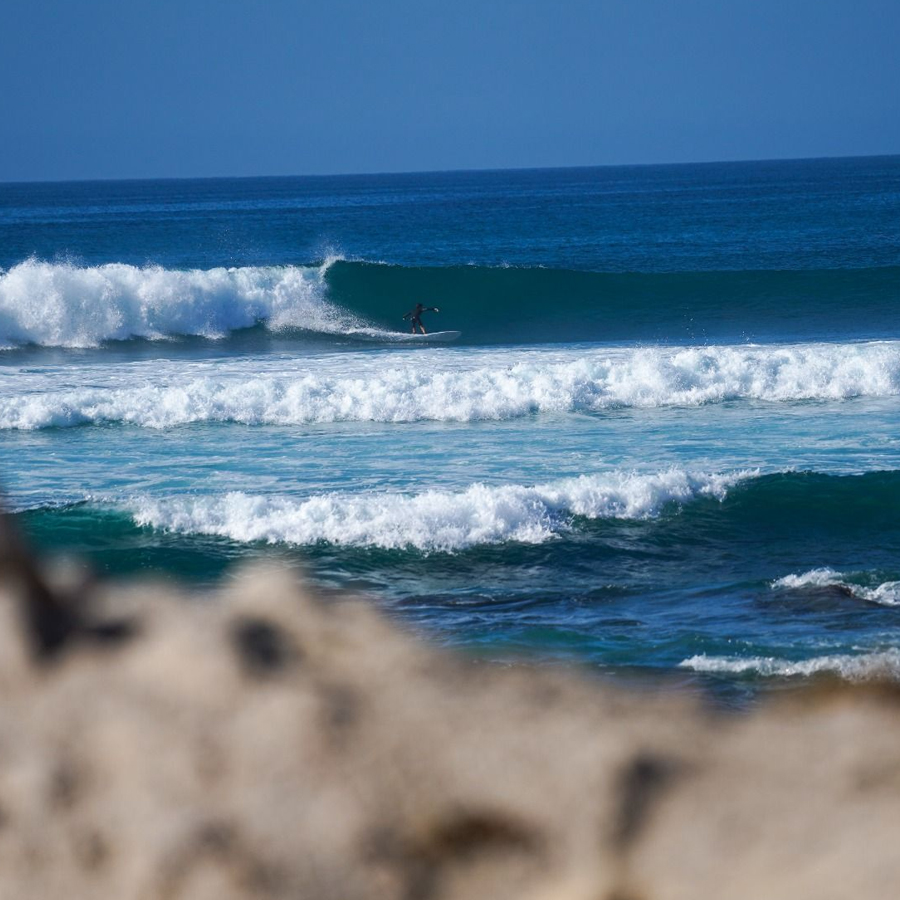 Planche de surf LIB TECH Terrapin Alex Lopez