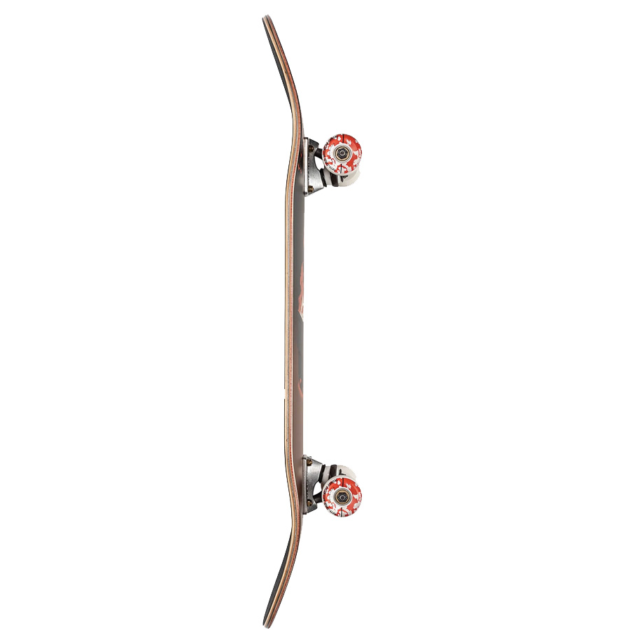 Skateboard GLOBE G2 On The Brink 8.25" Dumpster Fire