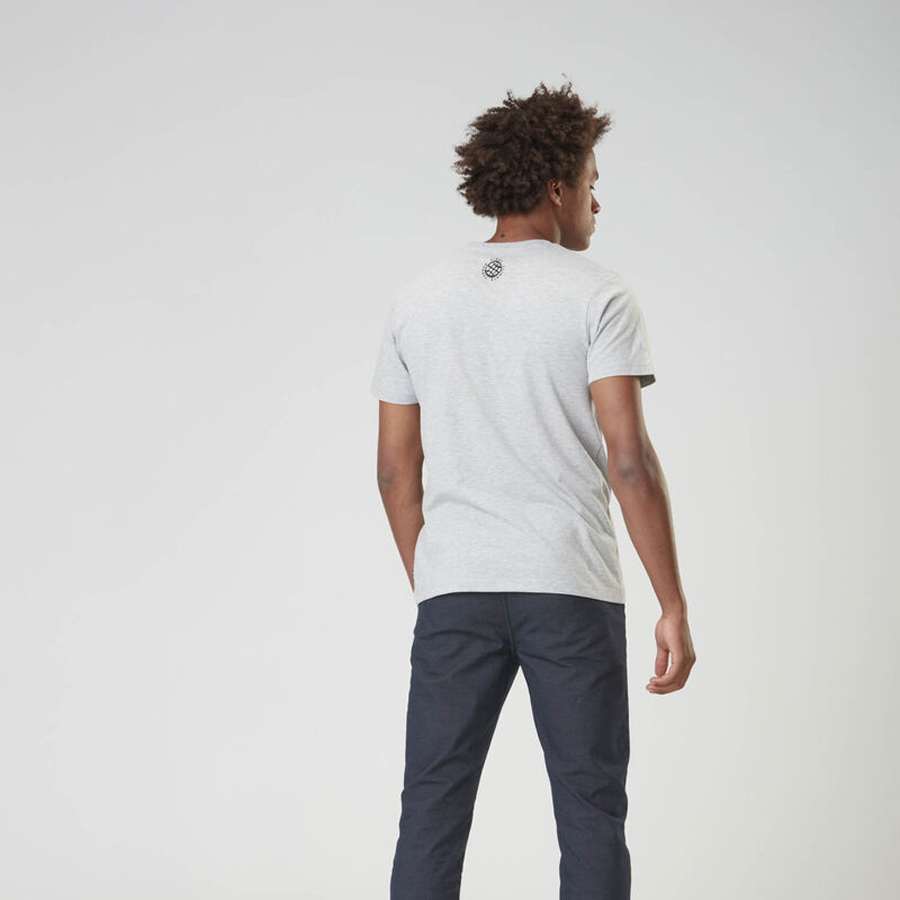 T-shirt PICTURE Arriga CC Tee Grey melange