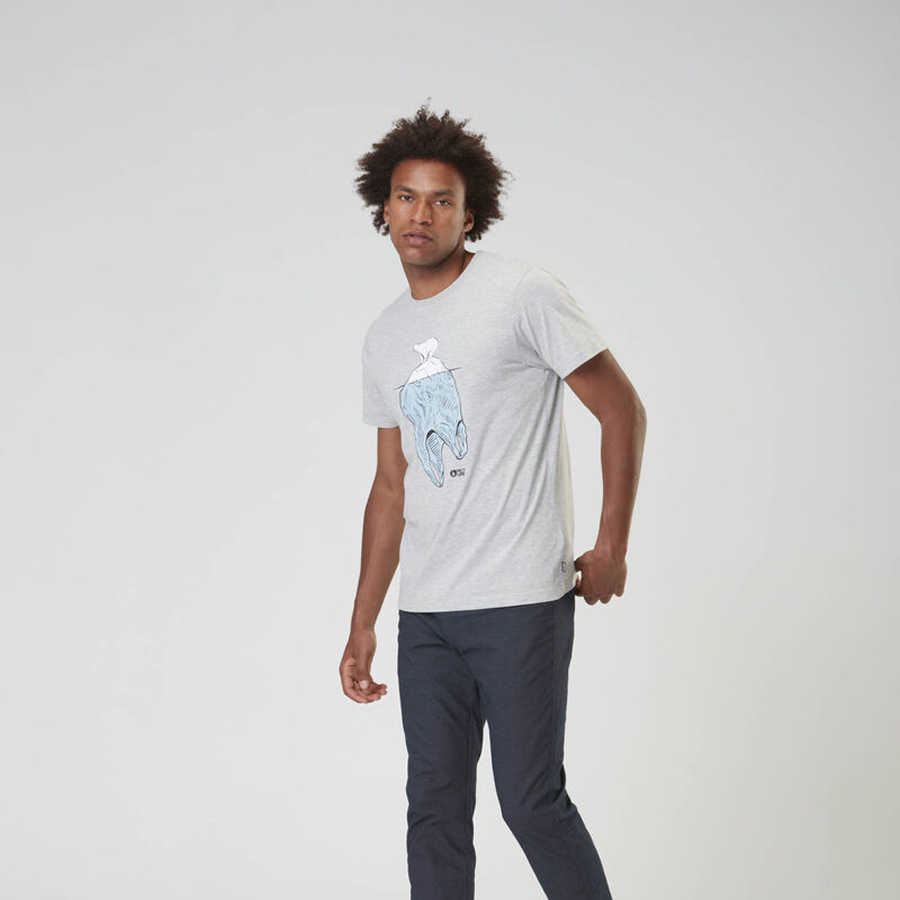 T-shirt PICTURE Arriga CC Tee Grey melange