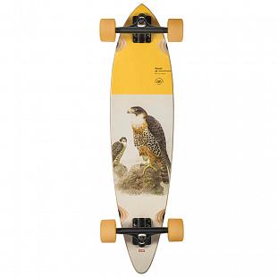 Longboard GLOBE Pintail 34" Falcon