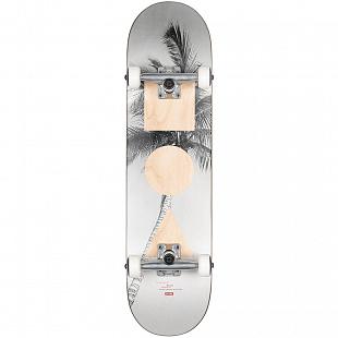 Skateboard GLOBE G1 Stack 8.0" Lone Palm