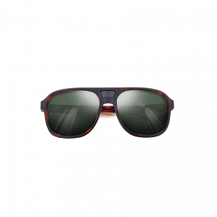 Lunettes de soleil MOKEN Walter Tortoise Green
