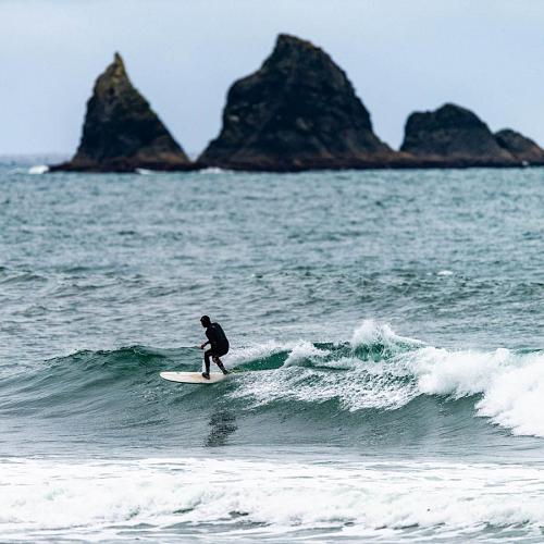 Planche de surf LIB TECH Pick Up Stick 7'0"